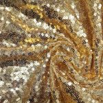2FT x 6FT Pale Gold Sequin Backdrop